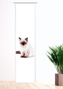 Majesti Katzenbaby, Flächenvorhang Einzel